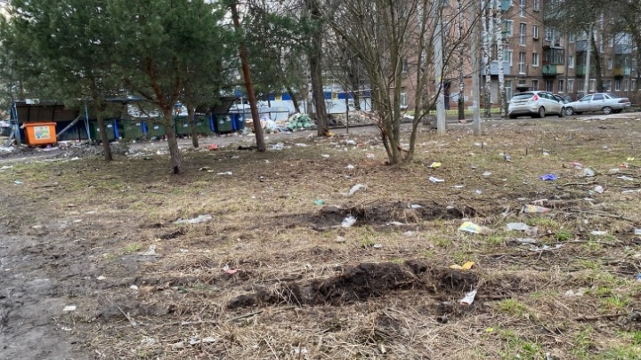 «И не надо кудахтать про налоги»: ярославцы разругались из-за неубранного мусора в городе