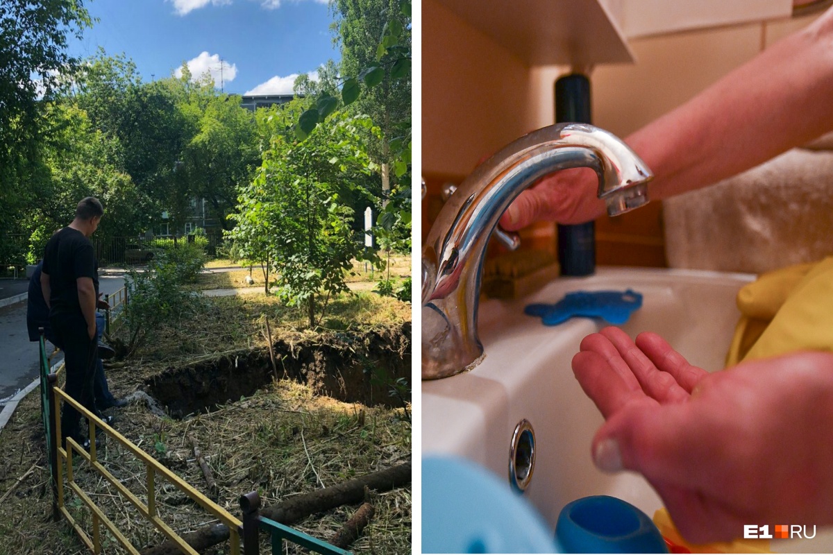 «Или вода, или деревья». Во Втузгородке второй год подряд отключают горячую воду из-за новых деревьев