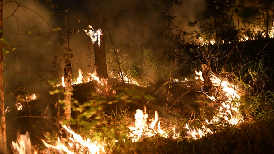 В Кузбассе с начала года от пожаров пострадало больше <nobr class="_">12 тысяч</nobr> гектаров леса. Это почти целый город