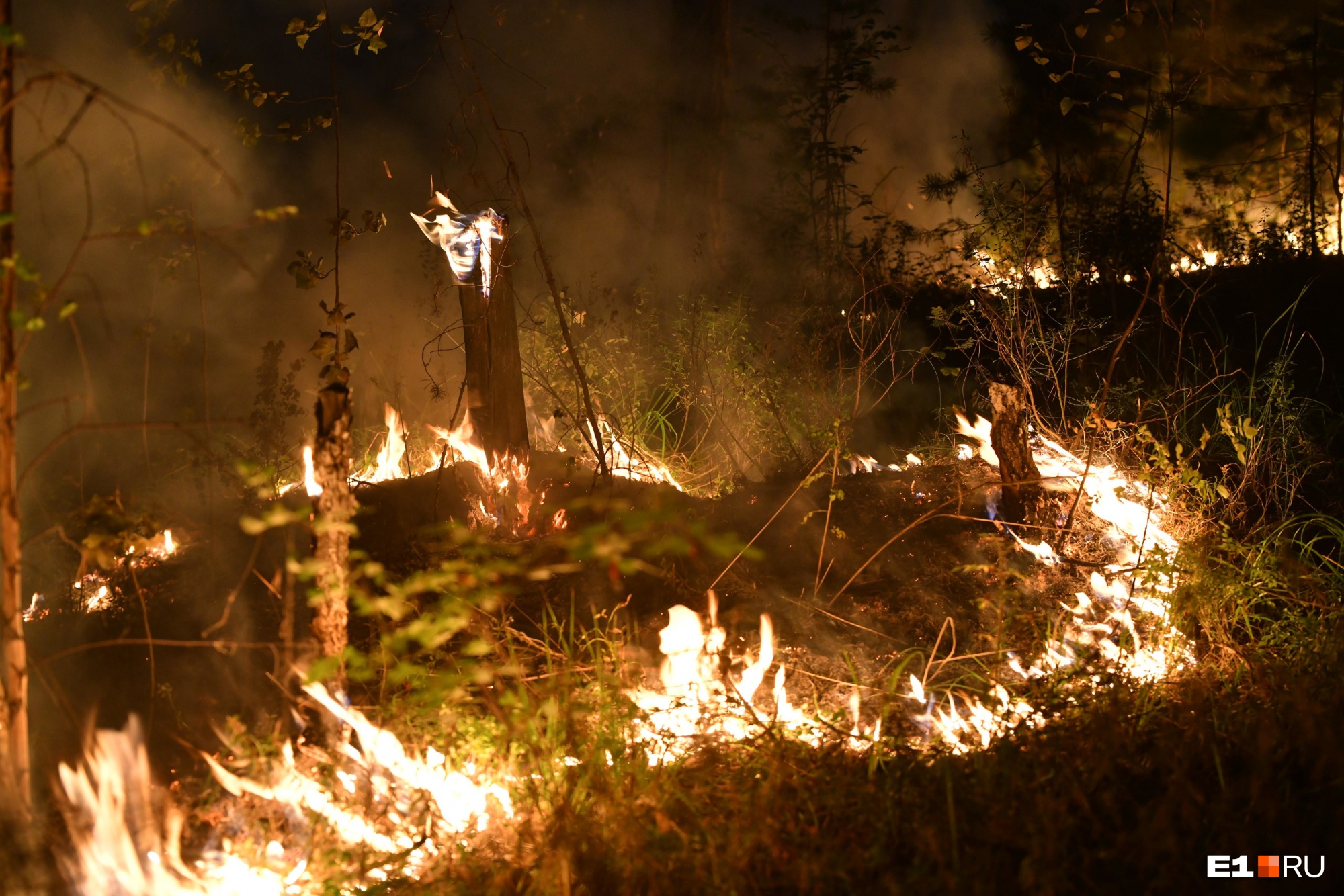 В Кузбассе с начала года от пожаров пострадало больше 12 тысяч гектаров леса. Это почти целый город
