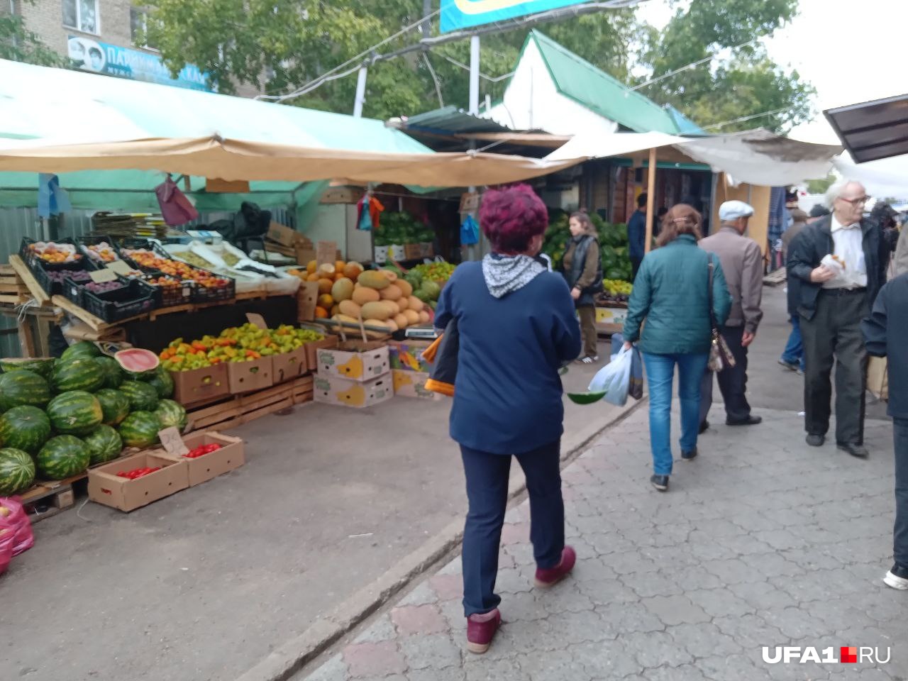 В палатках торгуют фруктами