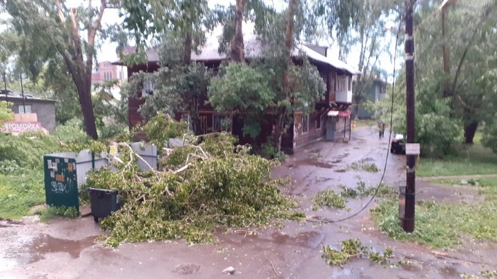 «Провода лежали на земле». В Екатеринбурге огромный тополь упал и оставил дом без света