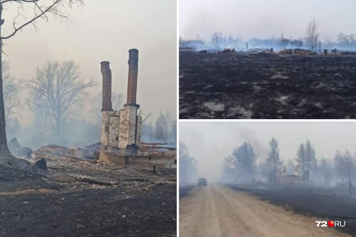 Последствия пожара в Бачелино Последствия пожара в Бачелино