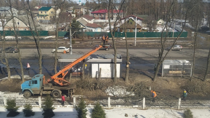 «Рабочие оставляют огрызки»: жители Брагина пожаловались на вырубку деревьев