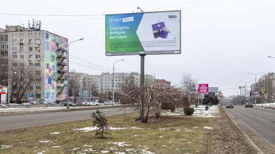 В Волгограде у рекламных щитов незаконно спилили березы, высаженные делегацией из Японии