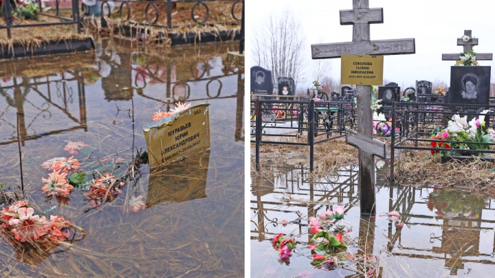 Могилы ушли под воду: в Ярославле затопило Осташинское кладбище