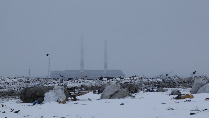 Рекультивация мусорных полигонов в Архангельске, Северодвинске и Новодвинске начнется в этом году