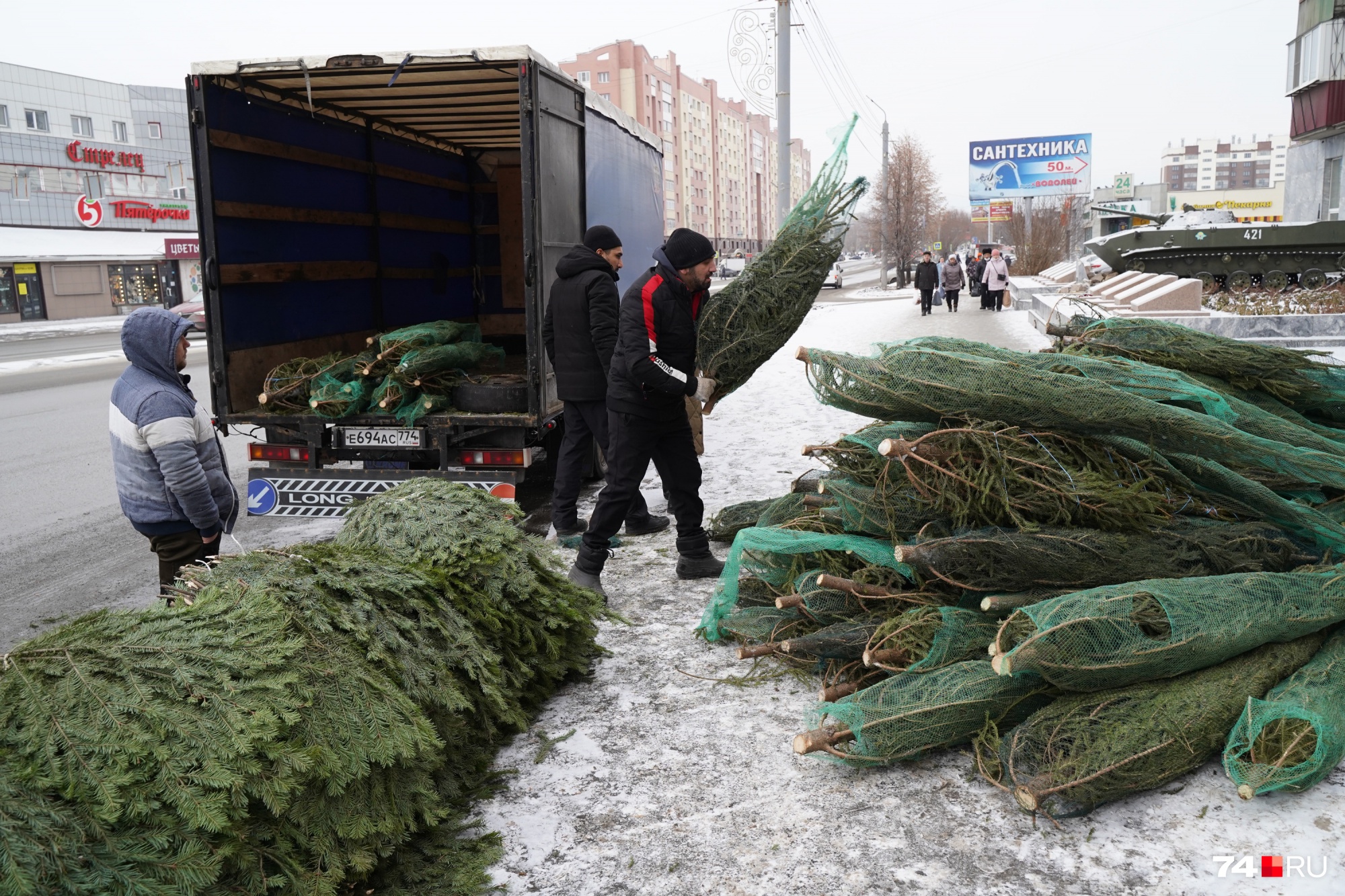 Когда будут продавать елки. Привезли елку в Уфу. Сколько будут стоить живые елки в Старом Осколе в этом году.