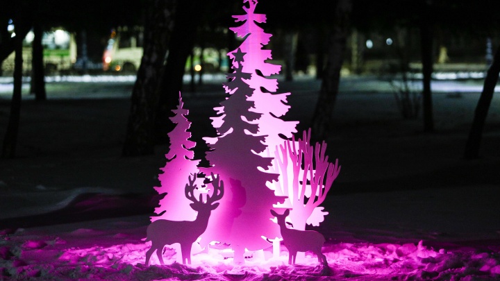 Гуляем по новогоднему Омску: светящиеся елки Сквера Дзержинского