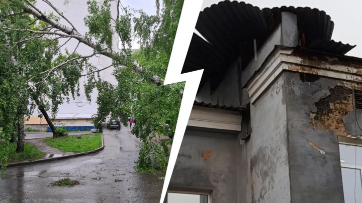 В Свердловской области бушует разрушающий шторм: ветер валит деревья и срывает крыши