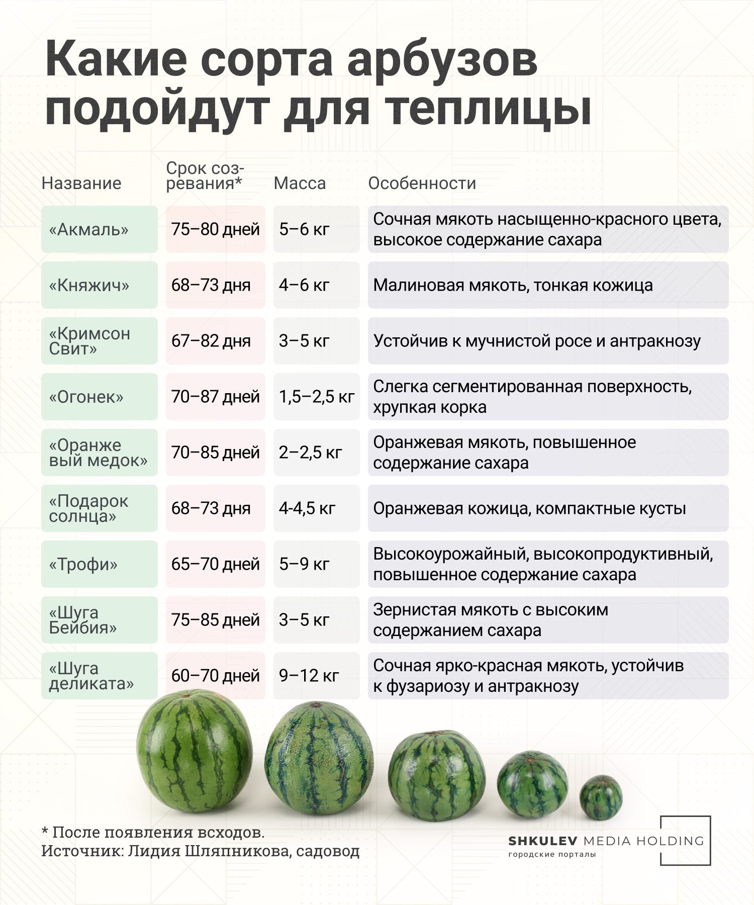 Популярные и проверенные сорта арбузов Популярные и проверенные сорта арбузов