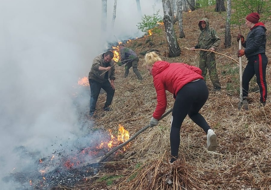 Лесные пожары красноярск. Человек в Лесном пожаре. Лесные пожары в Сибири. Пожары в Красноярском крае. Местные жители тушат пожар.