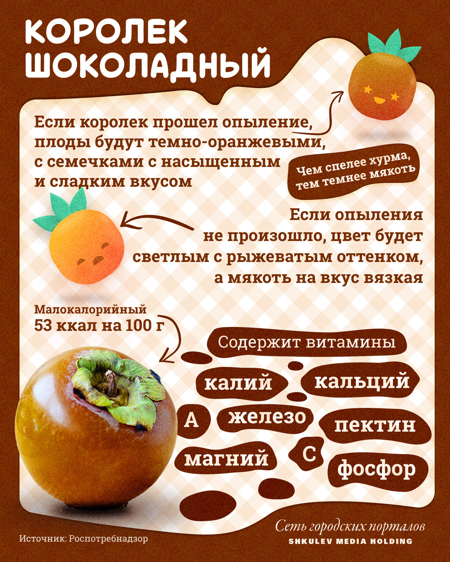 Шоколадный королек можно отличить от остальных хотя бы по цвету Шоколадный королек можно отличить от остальных хотя бы по цвету