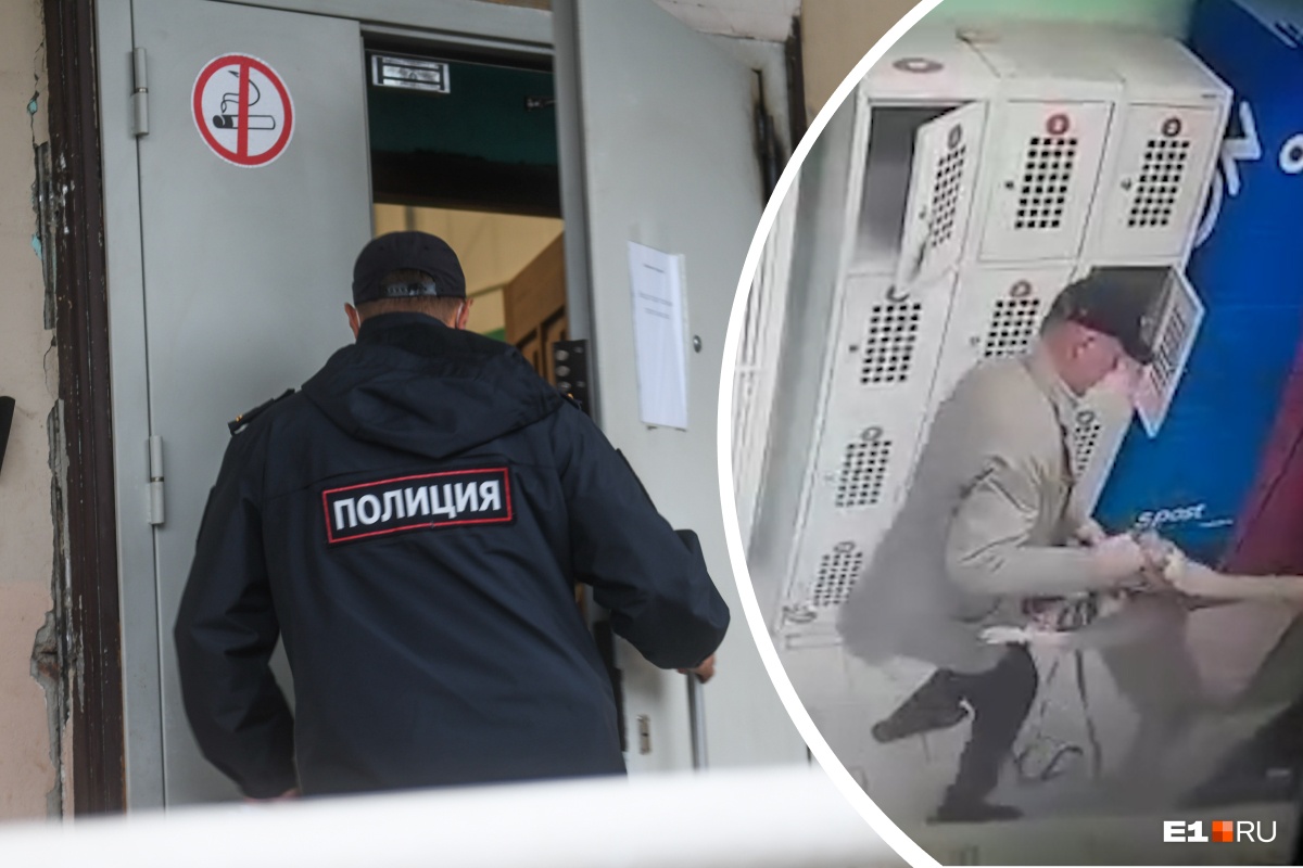 Хозяин был пьян: в Екатеринбурге бойцовый пес порвал маленькую собачку на глазах у ребенка