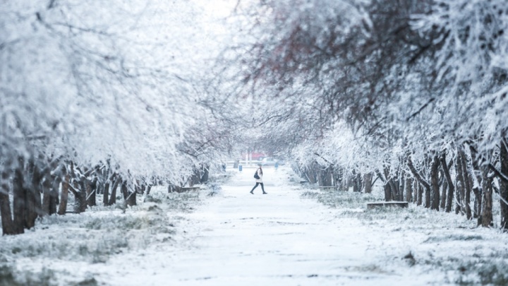 Холоднее всего будет 31 декабря. Предпраздничная неделя в Красноярске выдастся малоснежная
