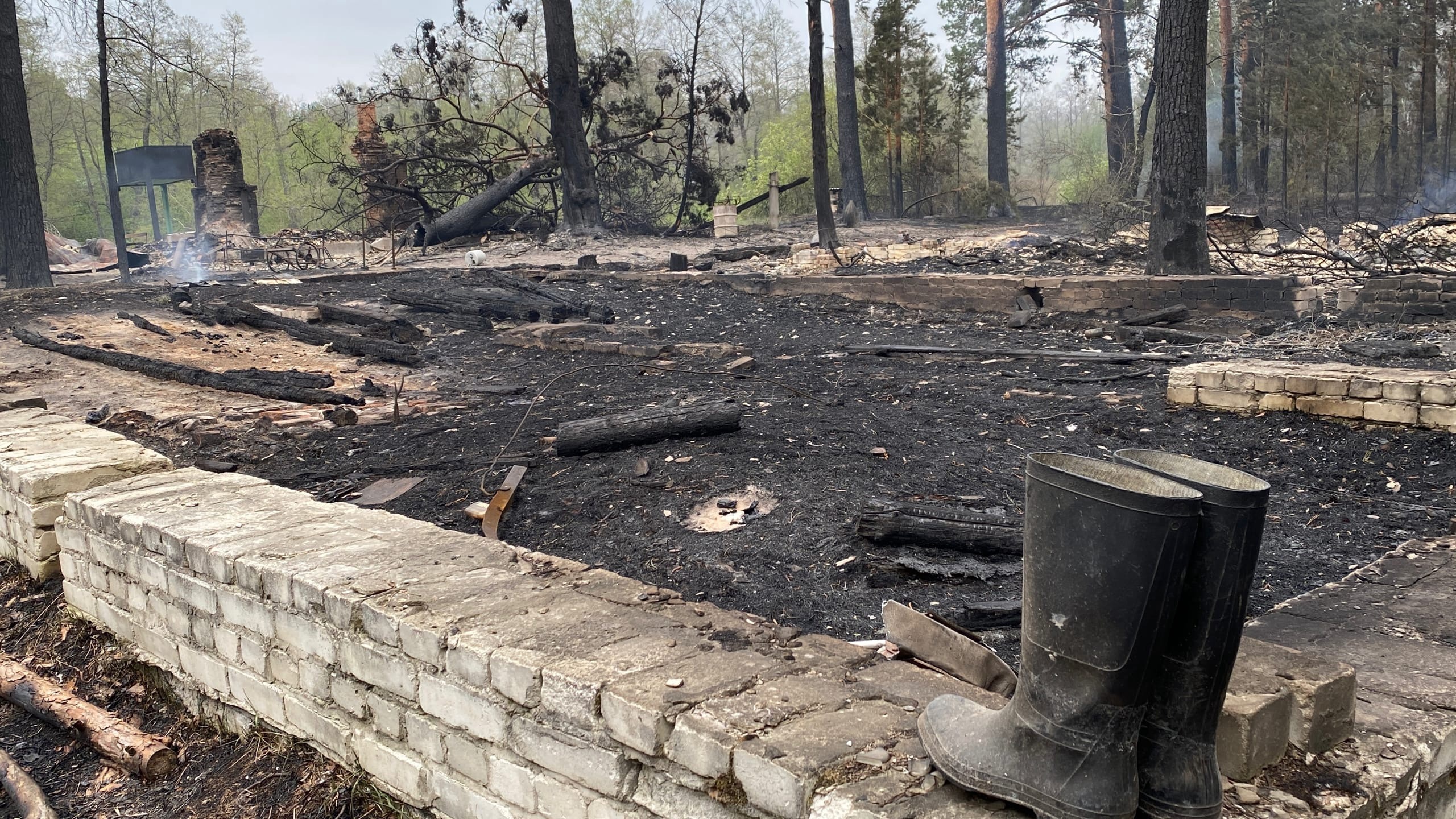 Масштабные пожары и наводнения этого года обсудили на заседании Совбеза