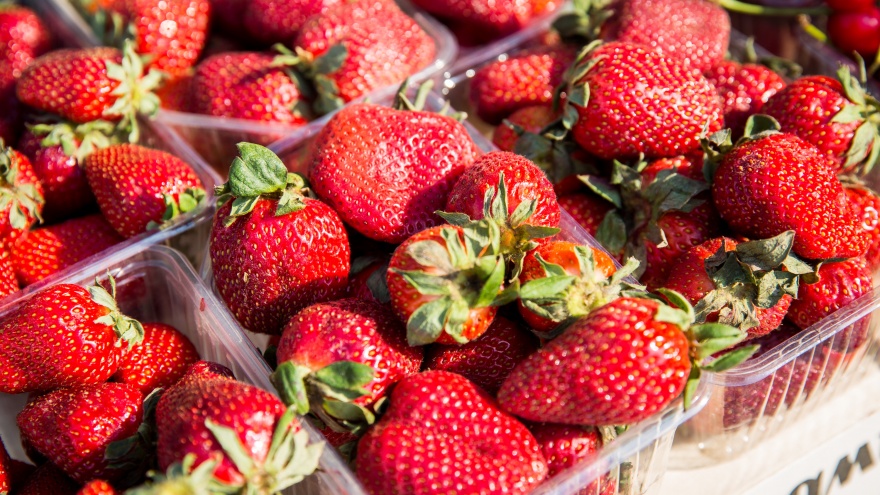 Займитесь клубникой: как правильно посадить и чем подкормить кусты, чтобы получить урожай больших сладких ягод