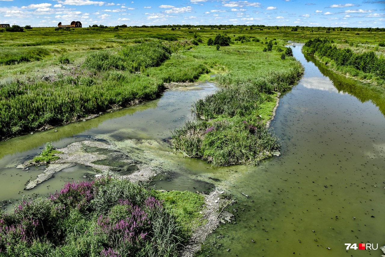 В прошлом году из-за жары река Теча была цветом болотной жижи и воняла так, что слабонервные еле успевали добежать до кустов