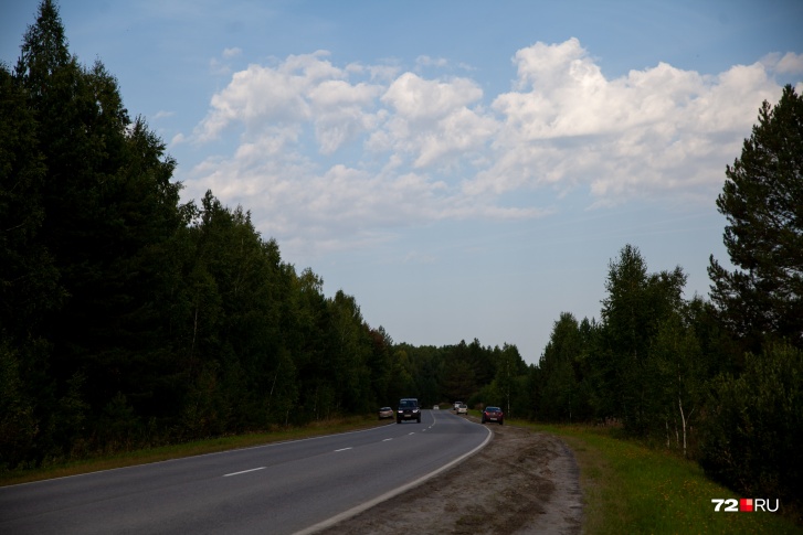 На выходных на трассе Тюмень — Омск <a href="https://72.ru/text/incidents/2022/06/19/71421308/" class="io-leave-page _" target="_blank">погиб <nobr class="_">37-летний</nobr> мужчина</a>. Он пытался увернуться от косули, которая выбежала на дорогу, но врезался в фуру На выходных на трассе Тюмень — Омск <a href="https://72.ru/text/incidents/2022/06/19/71421308/" class="io-leave-page _" target="_blank">погиб <nobr class="_">37-летний</nobr> мужчина</a>. Он пытался увернуться от косули, которая выбежала на дорогу, но врезался в фуру