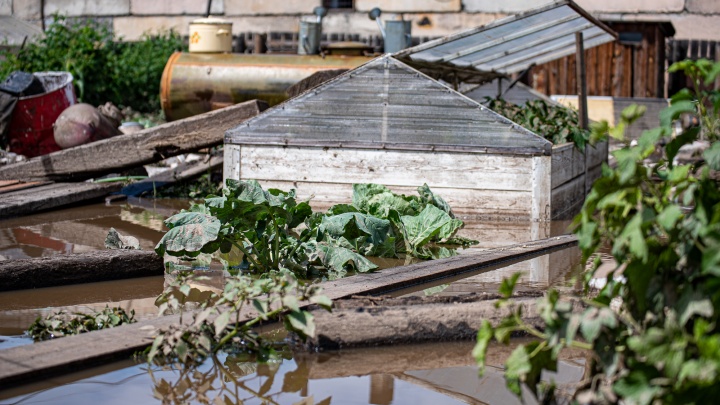 Хозяев затопленных дач в Чите попросили быть на участках 7 августа, чтобы не пропустить комиссию по выплатам