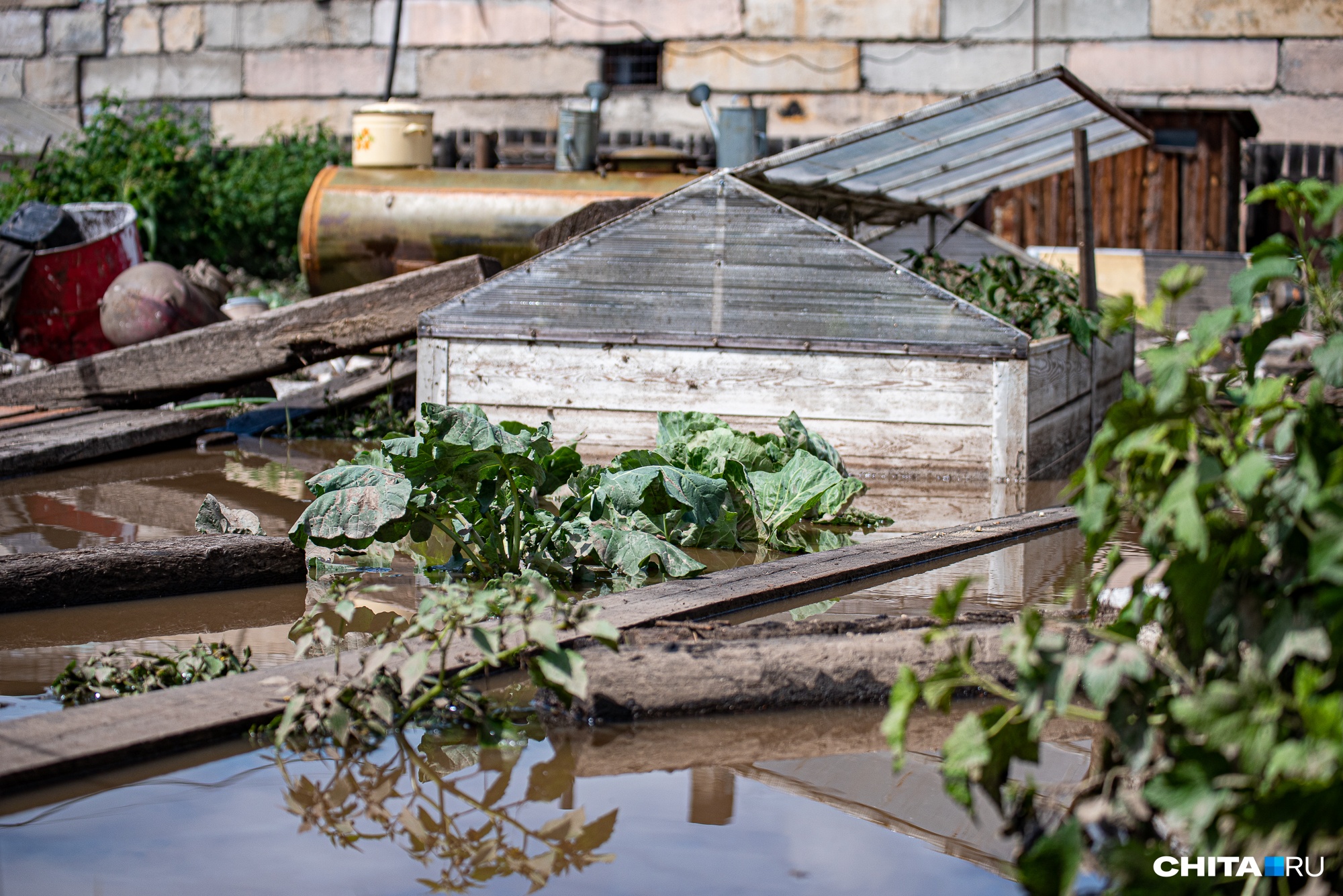 Власти в Чите попросили хозяев затопленных дач приехать на участки