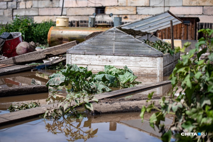 Дачные участки под Читой пострадали от наводнения в июле 2022 года