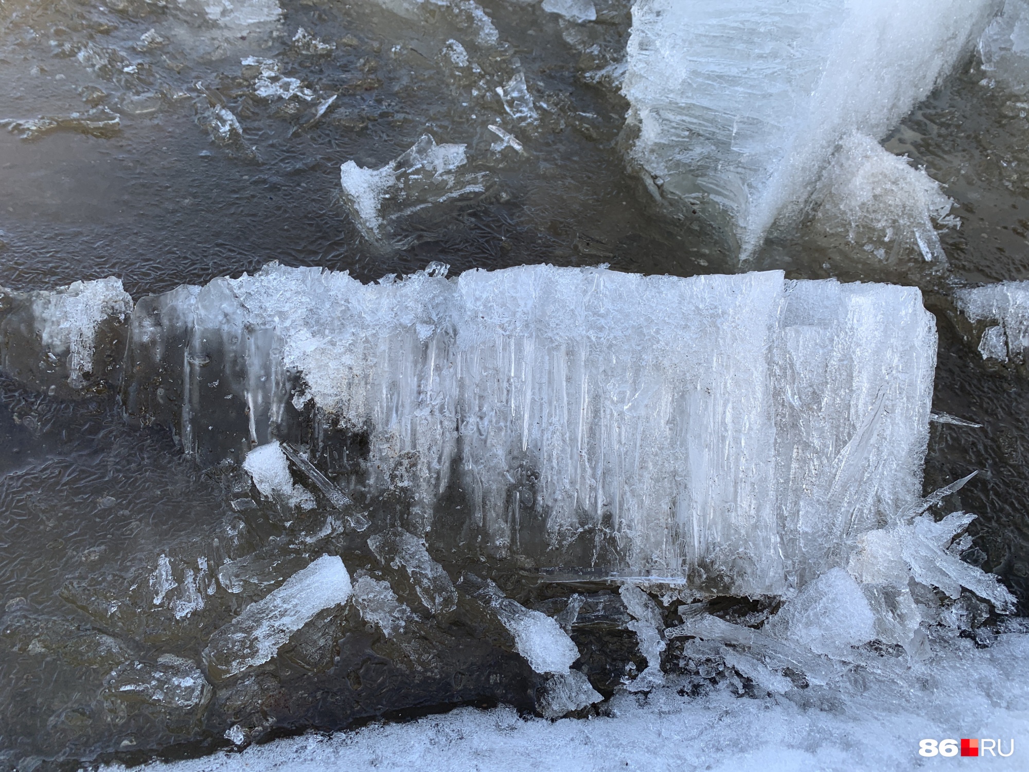 Льдины будто состоят из миллионов тонких ледяных трубочек