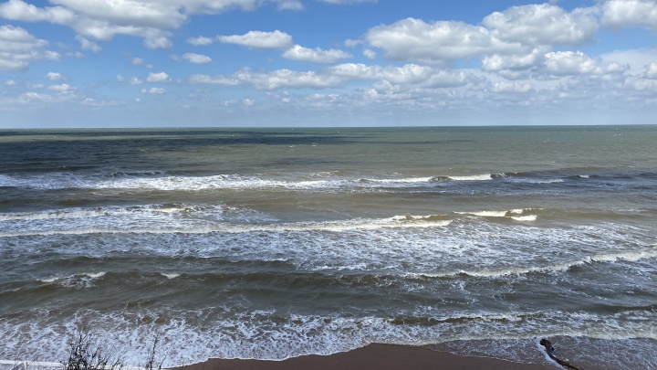Синоптики предупредили о затоплении побережья Азовского моря Кубани из-за сильного ветра