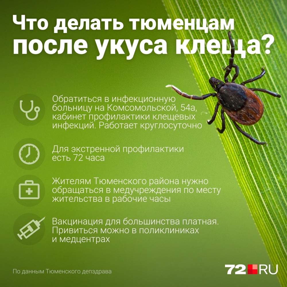 Несколько простых шагов для тюменцев в случае укуса клеща Несколько простых шагов для тюменцев в случае укуса клеща