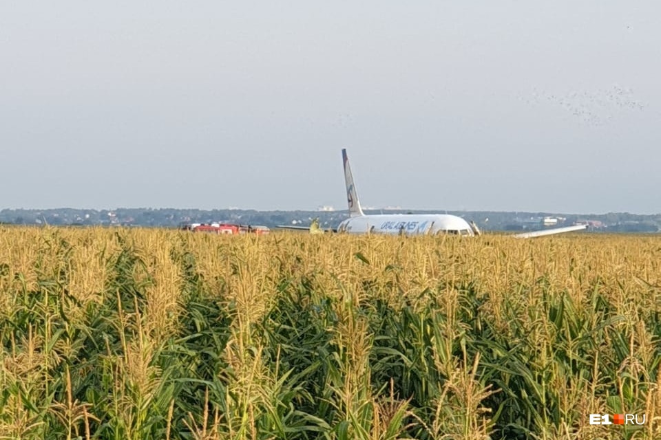 Аварийную посадку самолета «Уральских авиалиний» на кукурузном поле оценили почти в три миллиарда