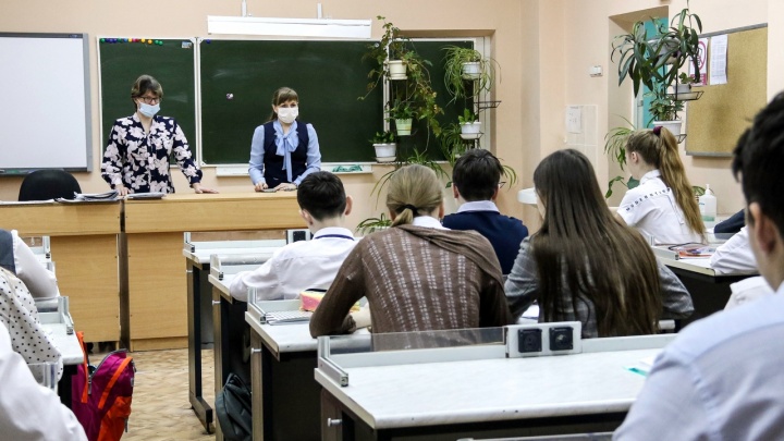 Ищут учителей начальных классов и иностранных языков. В нижегородских школах не хватает около 800 специалистов
