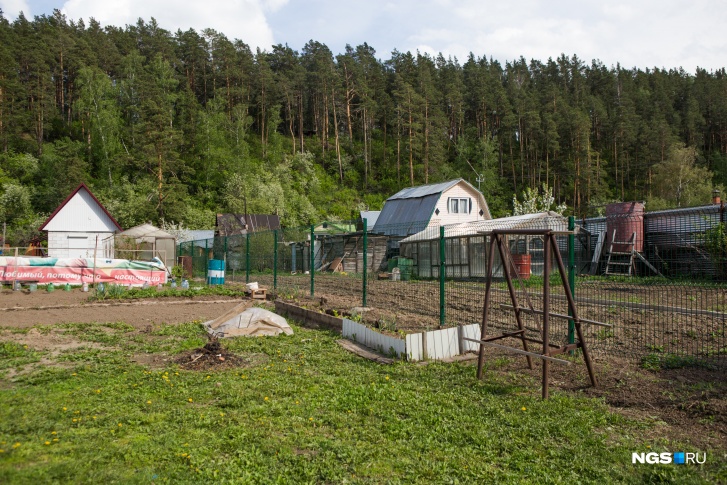 На кислой почве способны давать урожай очень мало культур На кислой почве способны давать урожай очень мало культур