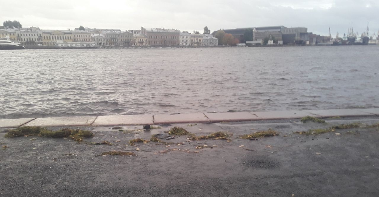 Главный синоптик Петербурга: Первый подъём уровня воды в Неве состоялся