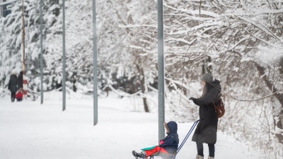 Пока лежит снег: где и за сколько купить санки в Ростове (и куда пойти кататься)