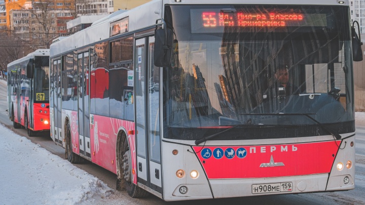 Автобусы-гармошки, больше рейсов, продление маршрутов: в мэрии рассказали о планах развития пермского транспорта