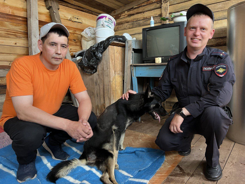 Полицейские выхаживают пса, которого ранил неизвестный стрелок в Братске