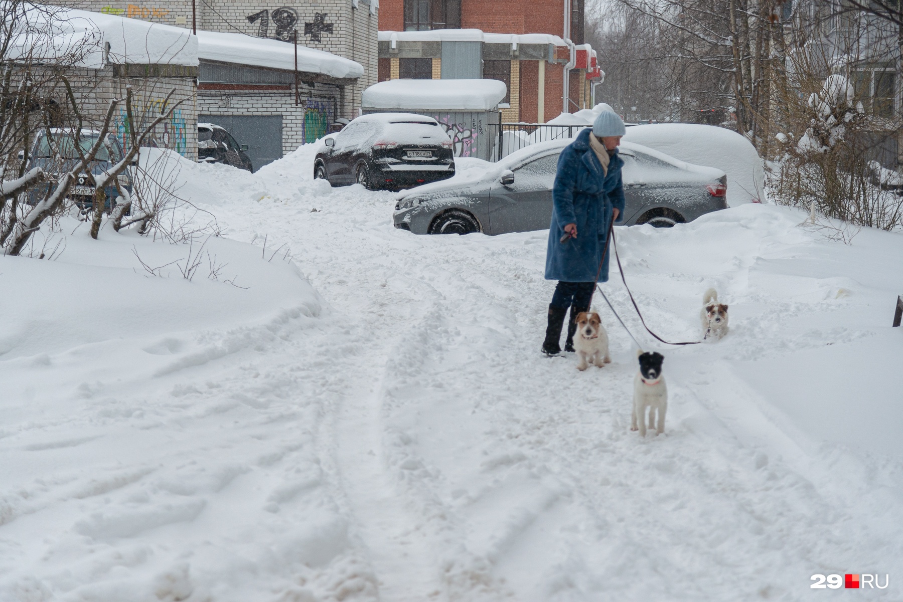 Нашли обитателей Архангельска, которым снежочек в кайф