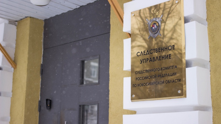 Подозреваемого в насилии над маленькими сестрами задержали в Новосибирске