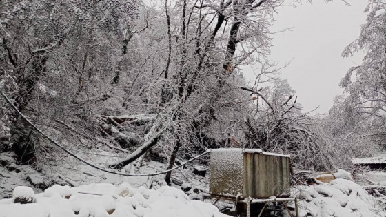 Экстренное предупреждение из-за сильного снегопада объявлено в Сочи