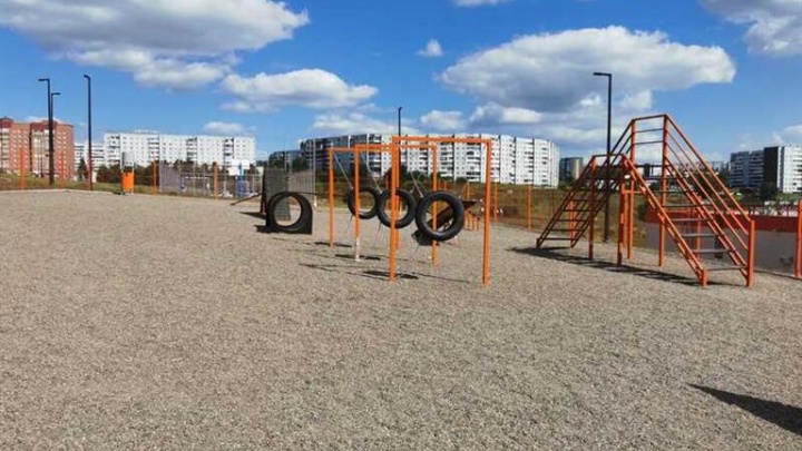 В Красноярске оборудуют новые площадки для выгула собак. Рассказываем, в каких районах