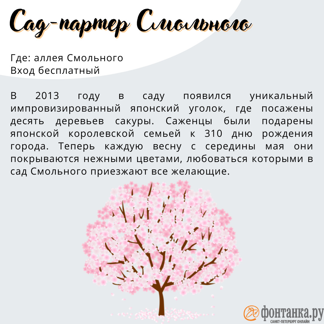 Карта цветения сакуры