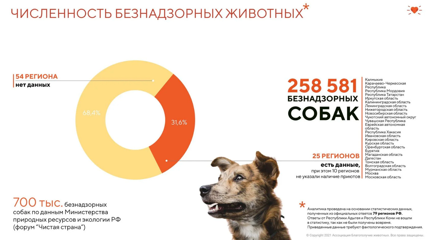 Только в 25 регионах России насчитывают около 260 тысяч бездомных собак