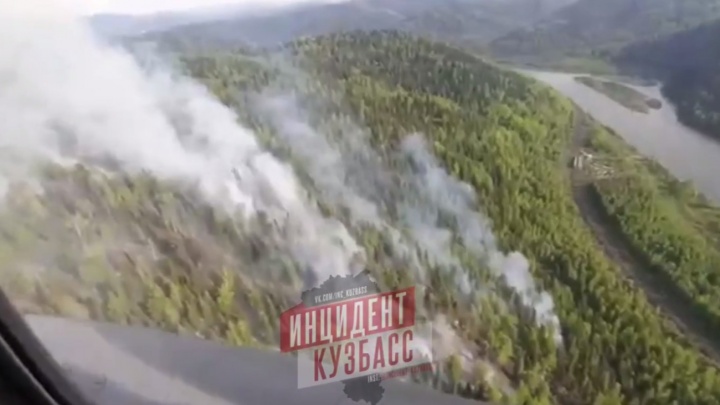 «Пожарные работают с воздуха»: возле кузбасского города загорелся лес. Комментарий властей