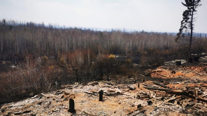 Площадь лесных пожаров в Иркутской области за сутки увеличилась на 58% — до 1,58 тысячи гектаров