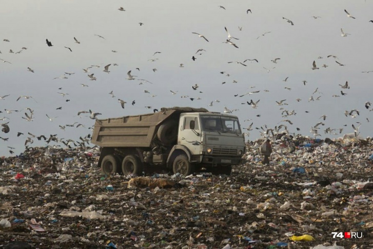 Мусорный полигон в Сургуте перестал принимать отходы в 2021 году