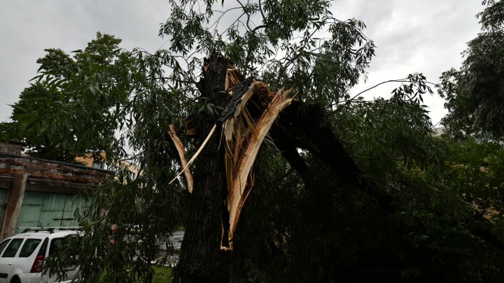 «Не паркуйтесь у деревьев»: в МЧС предупредили москвичей о приближении нового шторма