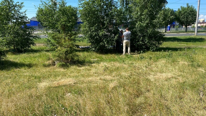 В Ярославле в кустах нашли тело мертвого мужчины