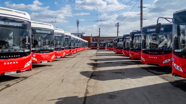 В Перми купят 64 новых газомоторных автобуса при содействии федерального бюджета