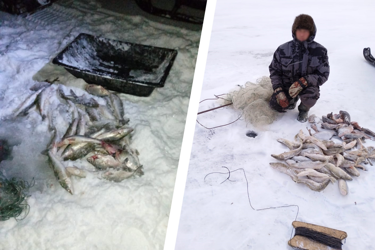 330 тысяч за 159 рыб: под Новосибирском поймали трех человек с незаконными сетями для ловли