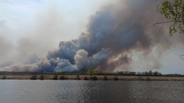 Столбы дыма, военные и эвакуация людей: лесной пожар под Тюменью в 11 кадрах